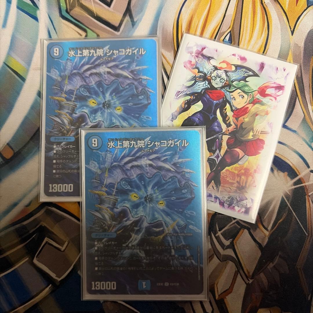 アナカラーシノビ