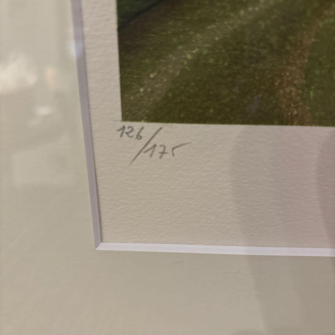 版画　デペルト　「緑の小道」