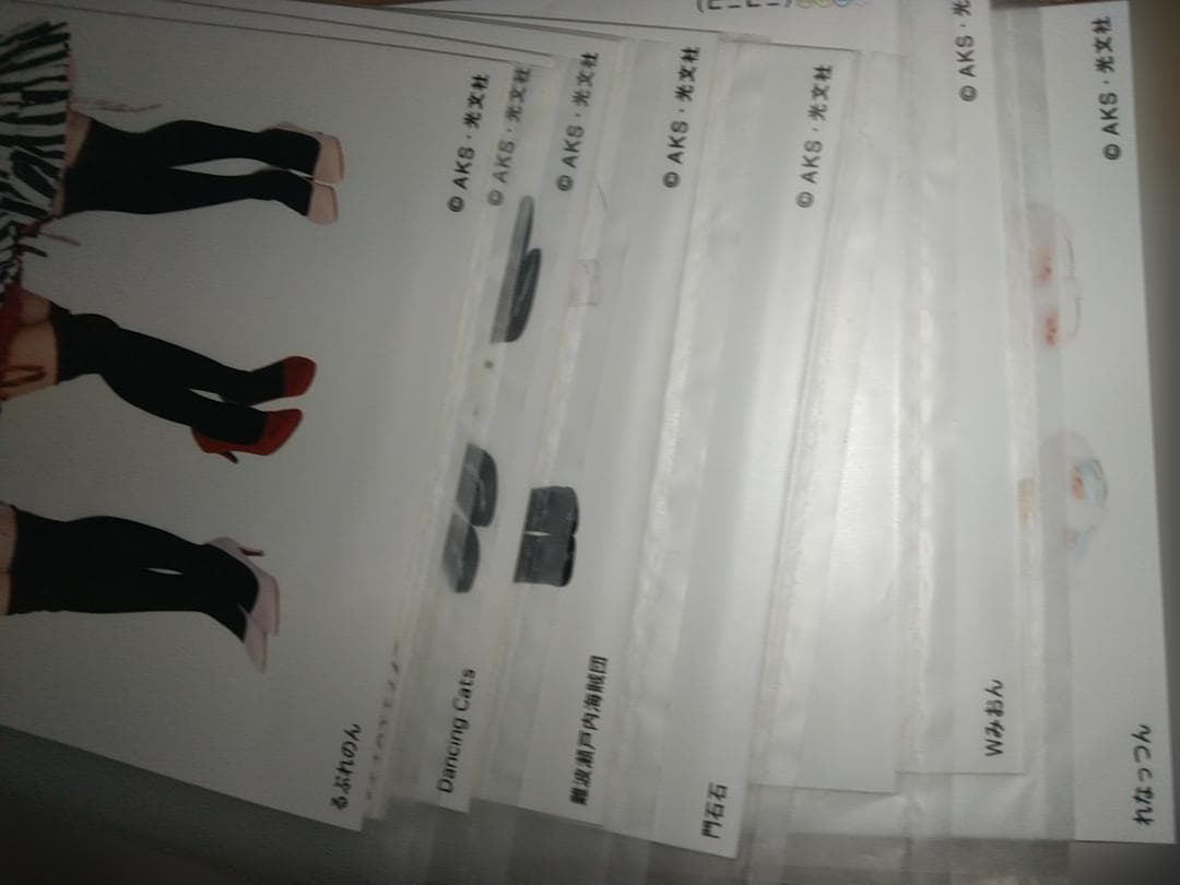 AKB48 グループ ユニットじゃんけん大会2017 生写真 当選品