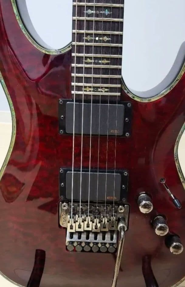 (本日まで価格)Schecter Hellraiser AD-C-1-FR-HR