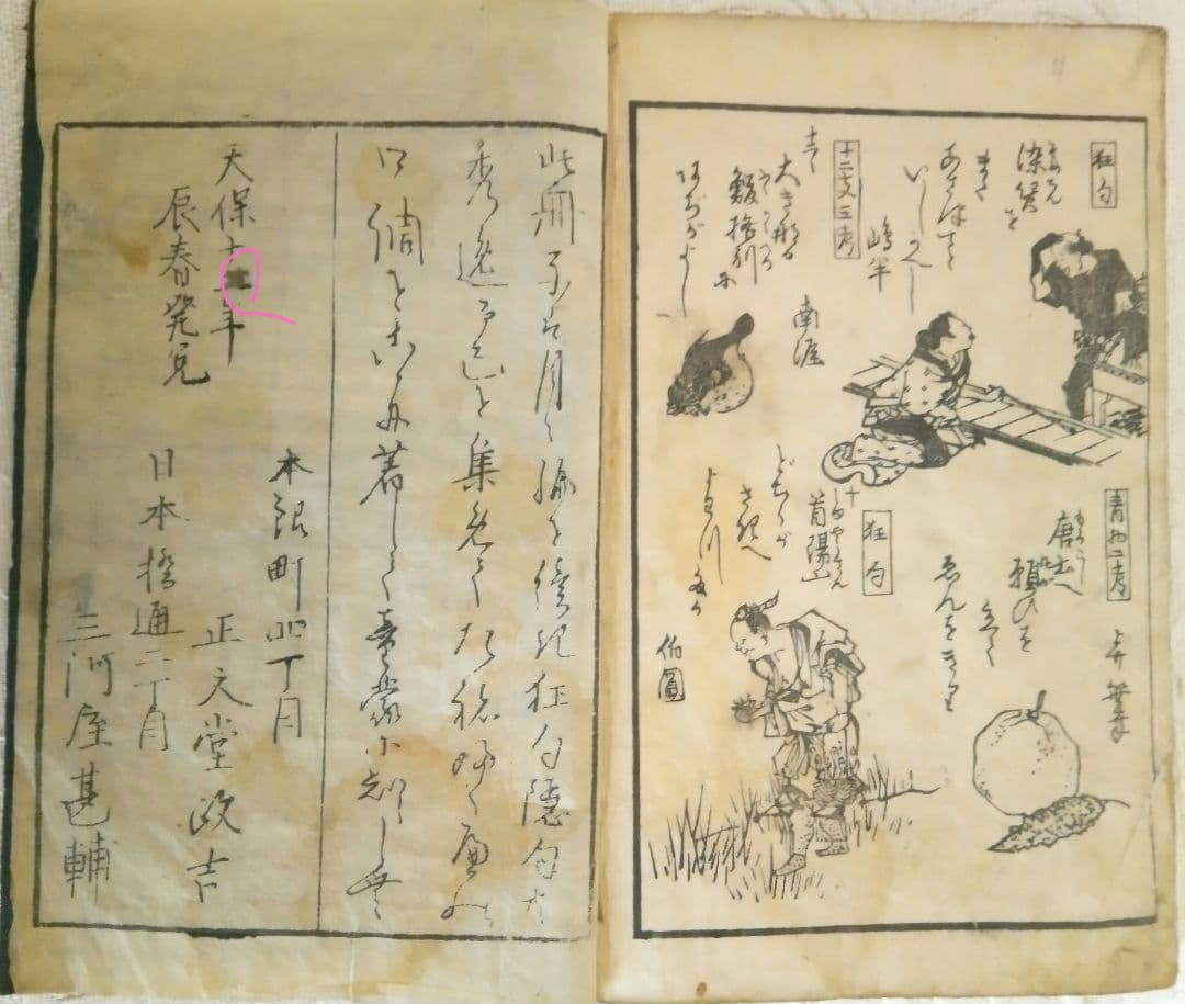 草双紙合巻版画本俳風たねふくべ柳句隠句画賛図式、益亭評、筆屋文林堂本屋正文堂出版