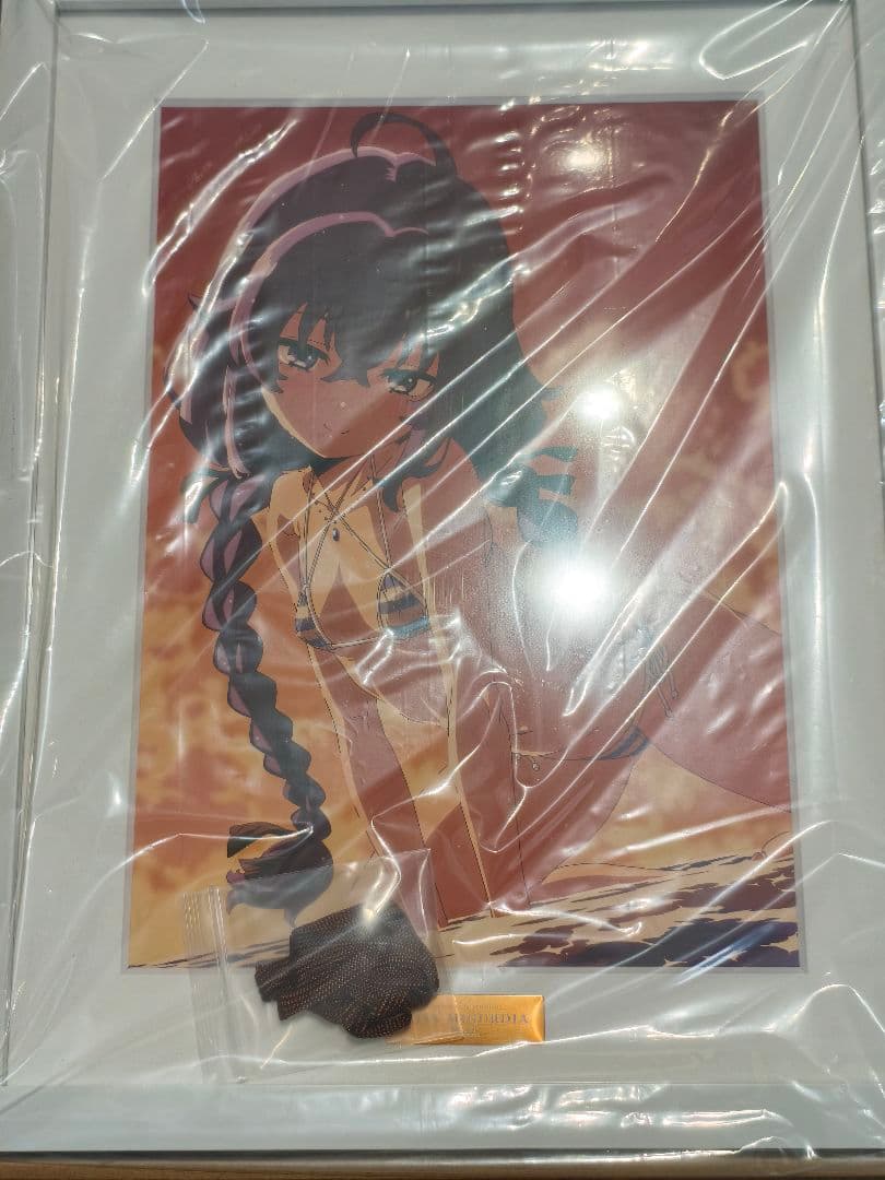 無職転生 ロキシー・ミグルディア キャラファイングラフ シリアルNo.051