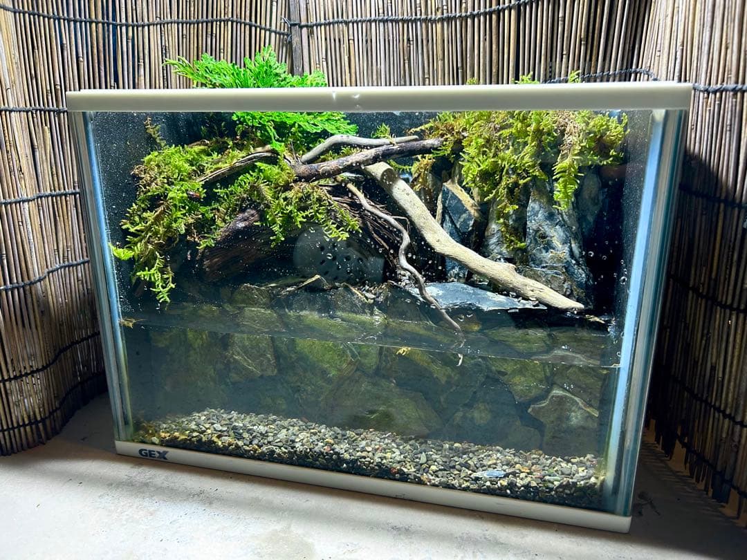 水の流れる滝テラリウム水槽　苔テラリウム