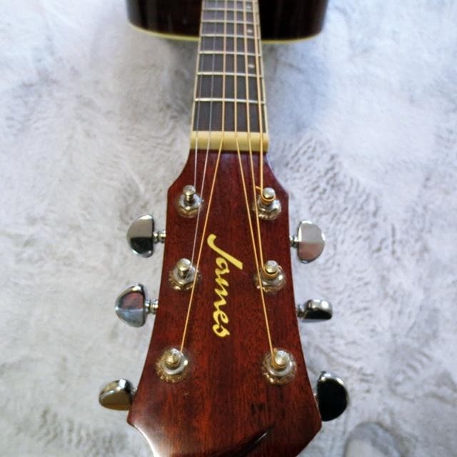 James ジェームス トップ単板アコースティックギター JF350TS