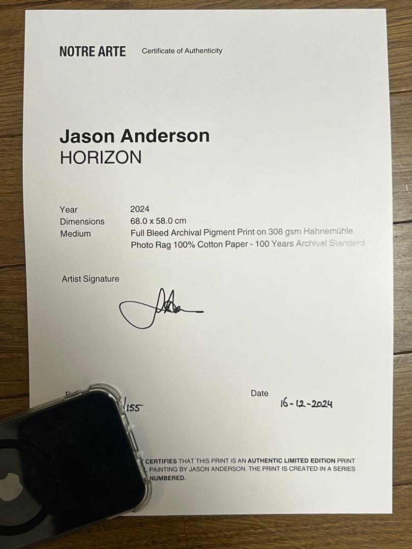 Jason Anderson HRIZON 限定プリント