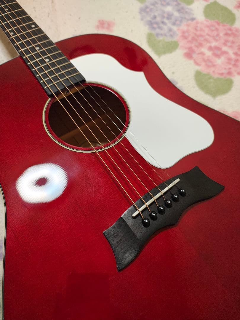 C.K！単板トップMORRIS G-021 WR/超美品/専用ケース付