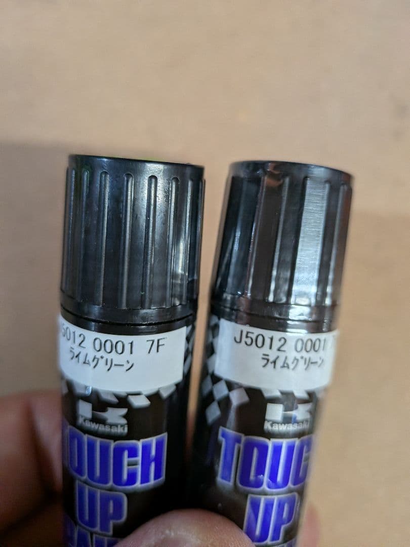 カワサキZRX1200ダエグライトルーバー。