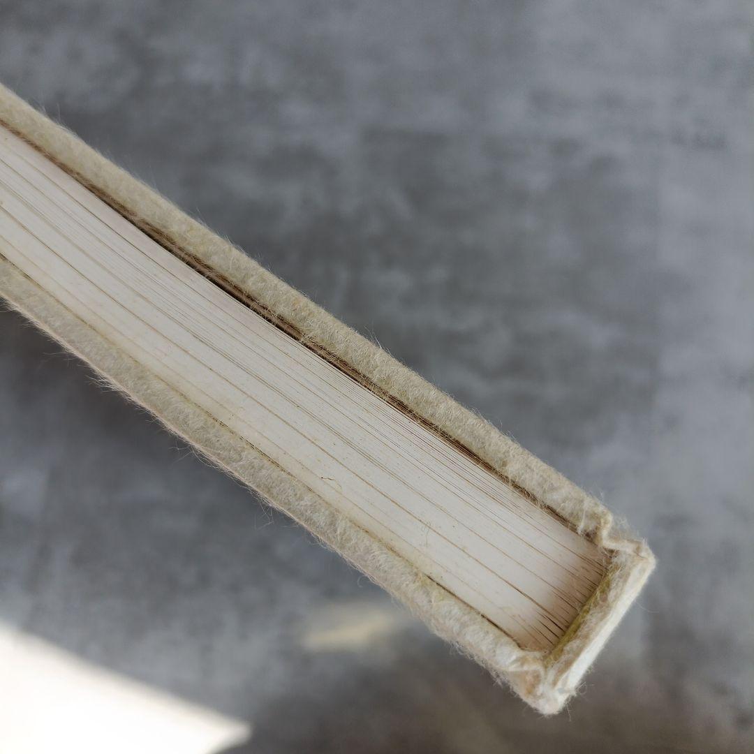 希少✨️限定200部　ホルスト　ヤンセン　写真　画集　アート　芸術　美大　藝大