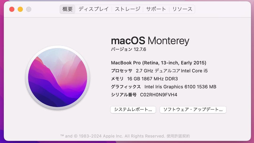 Apple MacBook Pro 充電器付 Early2015 A1502
