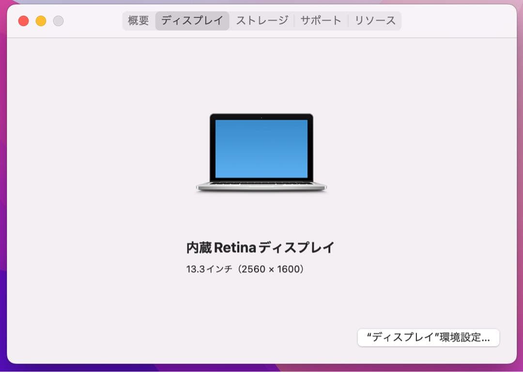 Apple MacBook Pro 充電器付 Early2015 A1502