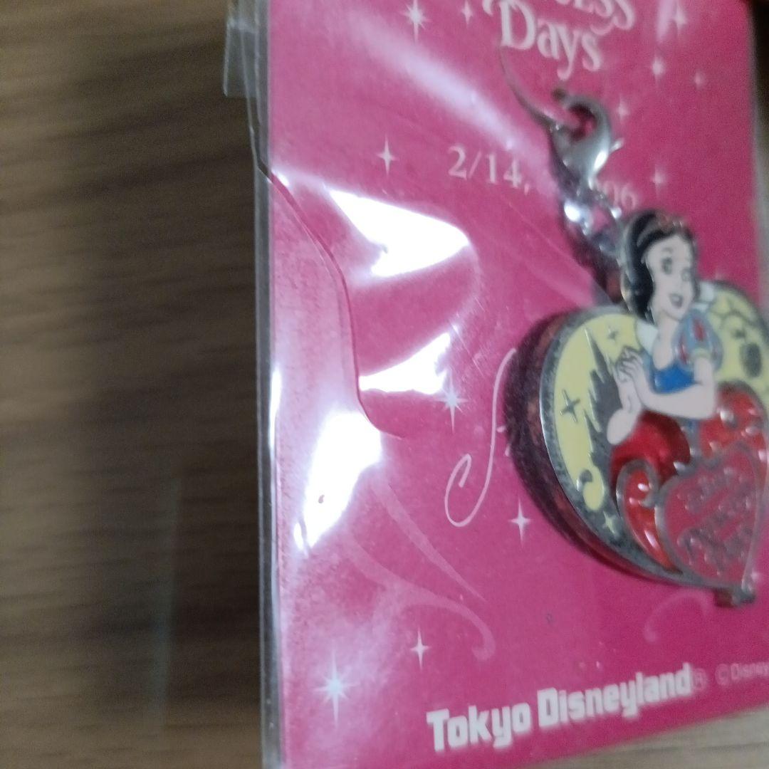 ディズニPRINCESSDaysチャーム8点セット　ランド入場特典