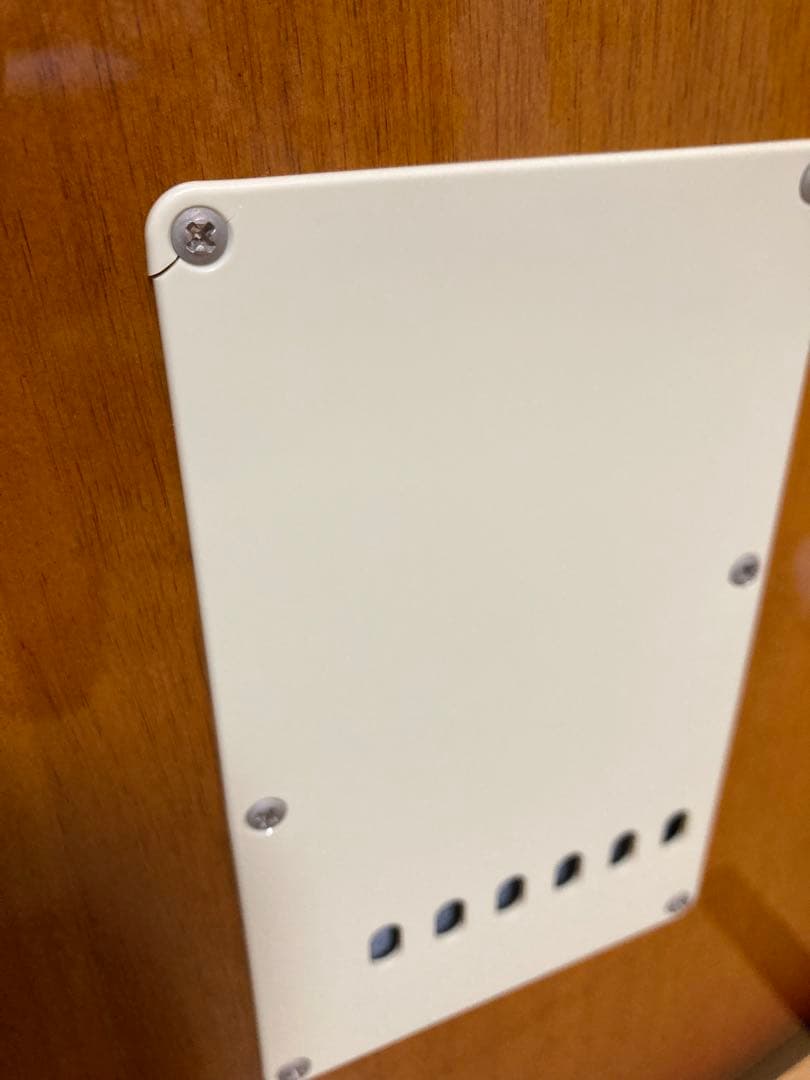 【Rockが主食】Fender Japan ST62t