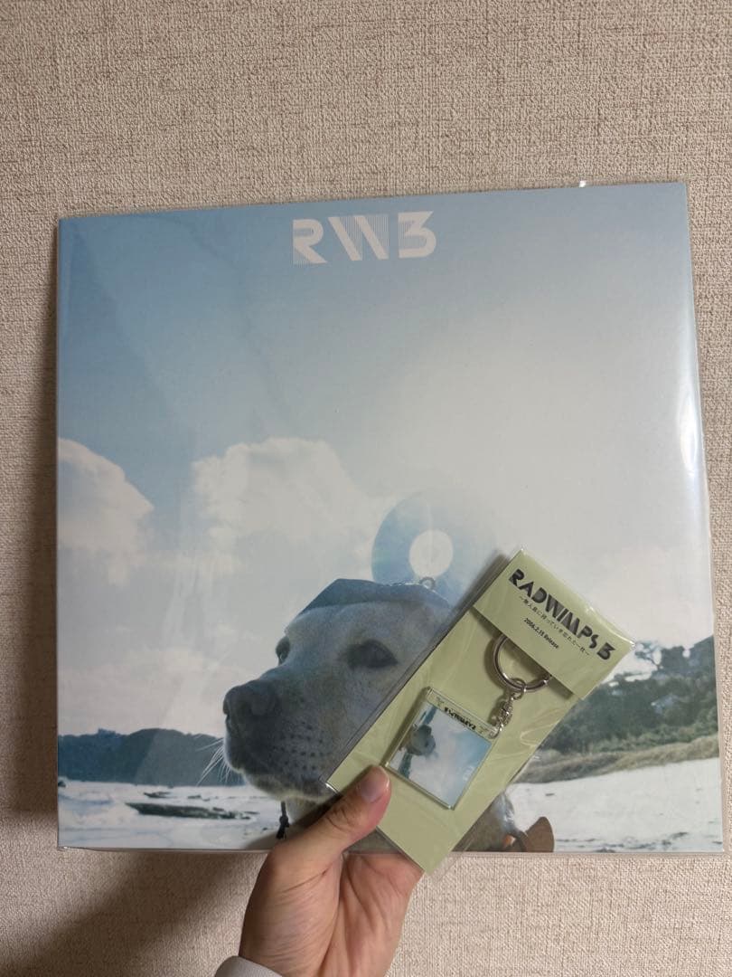 セット売り　radwimps レコード　キーホルダー　無人島