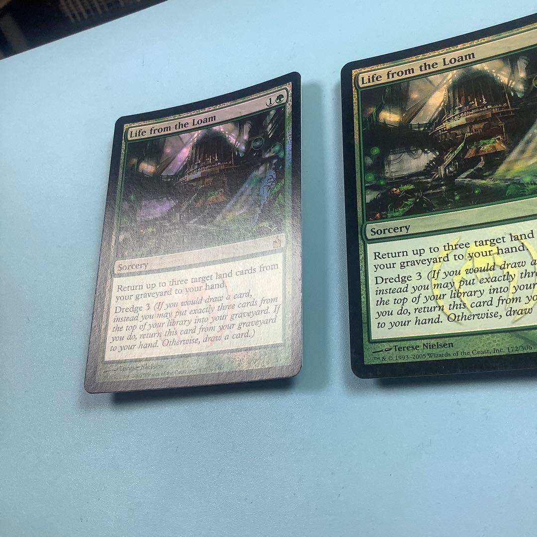 壌土からの生命　 RAV英語foil2枚セット