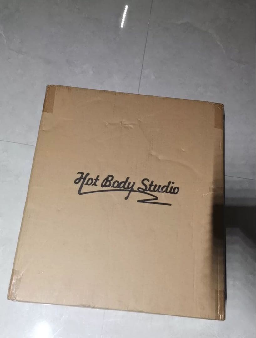 ワンピース　HOT BODY ロビン　ガレージキット　完成品　フィギュア