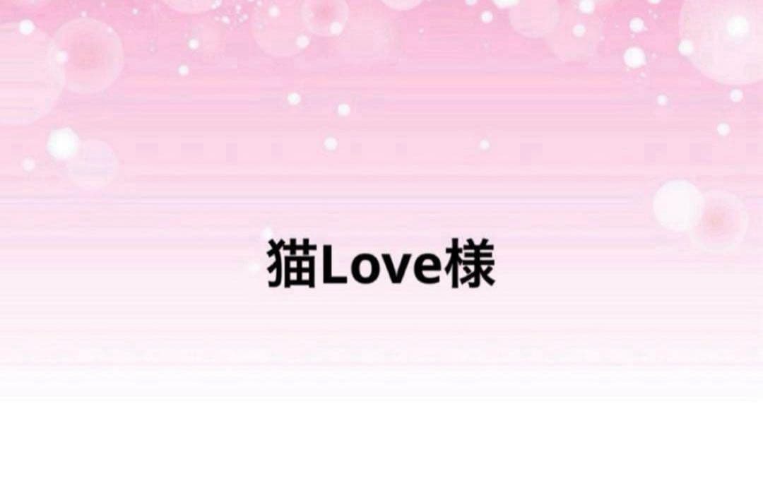 感謝価格　SALE 猫柄　猫ちゃん大集合ポーチ　パッチワーク　人気　ハンドメイド