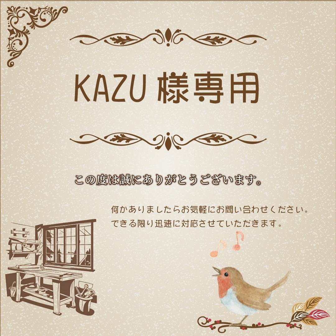 その他 KAZU