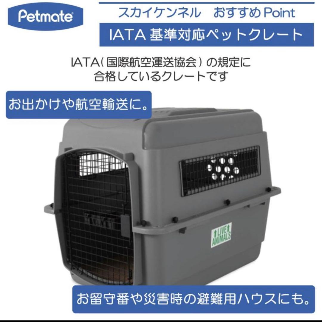 完売品 バリケンネル クレート ML すのこ付き‼︎