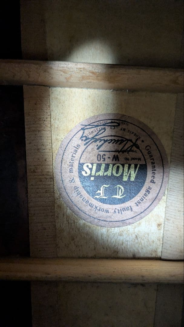 ギター TF MORRIS W50