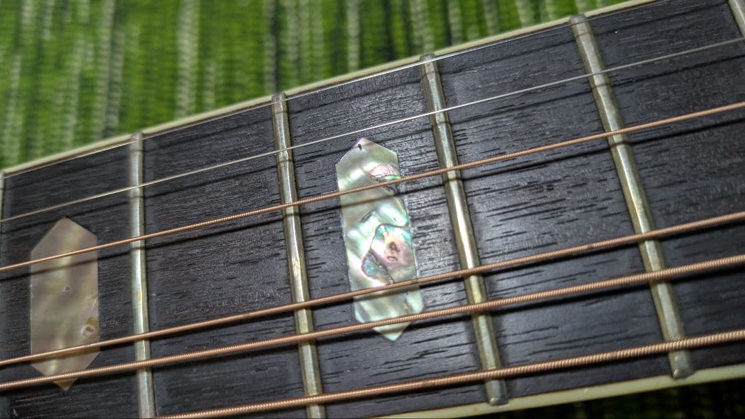 ギター TF MORRIS W50