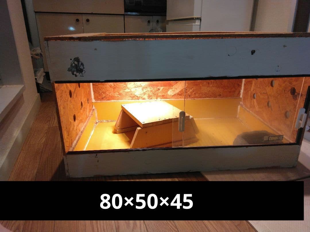 ラスト！大型爬虫類ケージ
