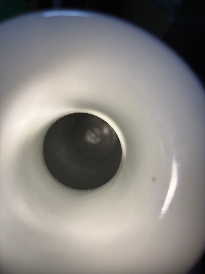 粉彩吉祥文瓶 「大清光緒年製」落款　高さ約40cm