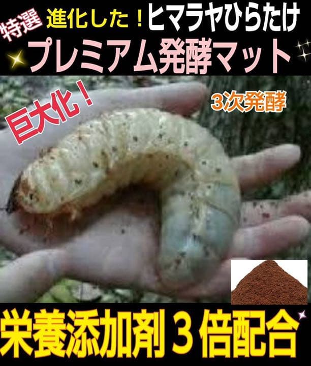 増量50L☆プレミアム3次発酵カブトマット　特殊アミノ酸・共生バクテリア3倍配合