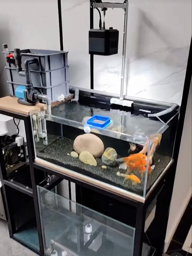 市場最安値、水中ポンプ25w付き大型水槽万能濾過装置濾過外部式濾過層送料込み