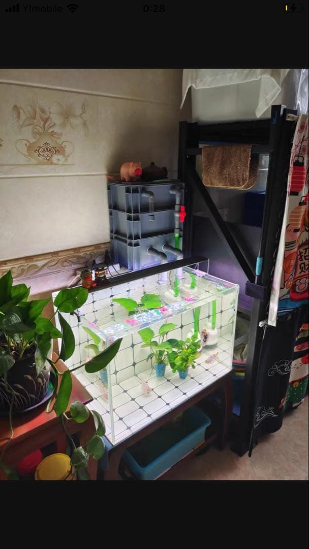 市場最安値、水中ポンプ25w付き大型水槽万能濾過装置濾過外部式濾過層送料込み