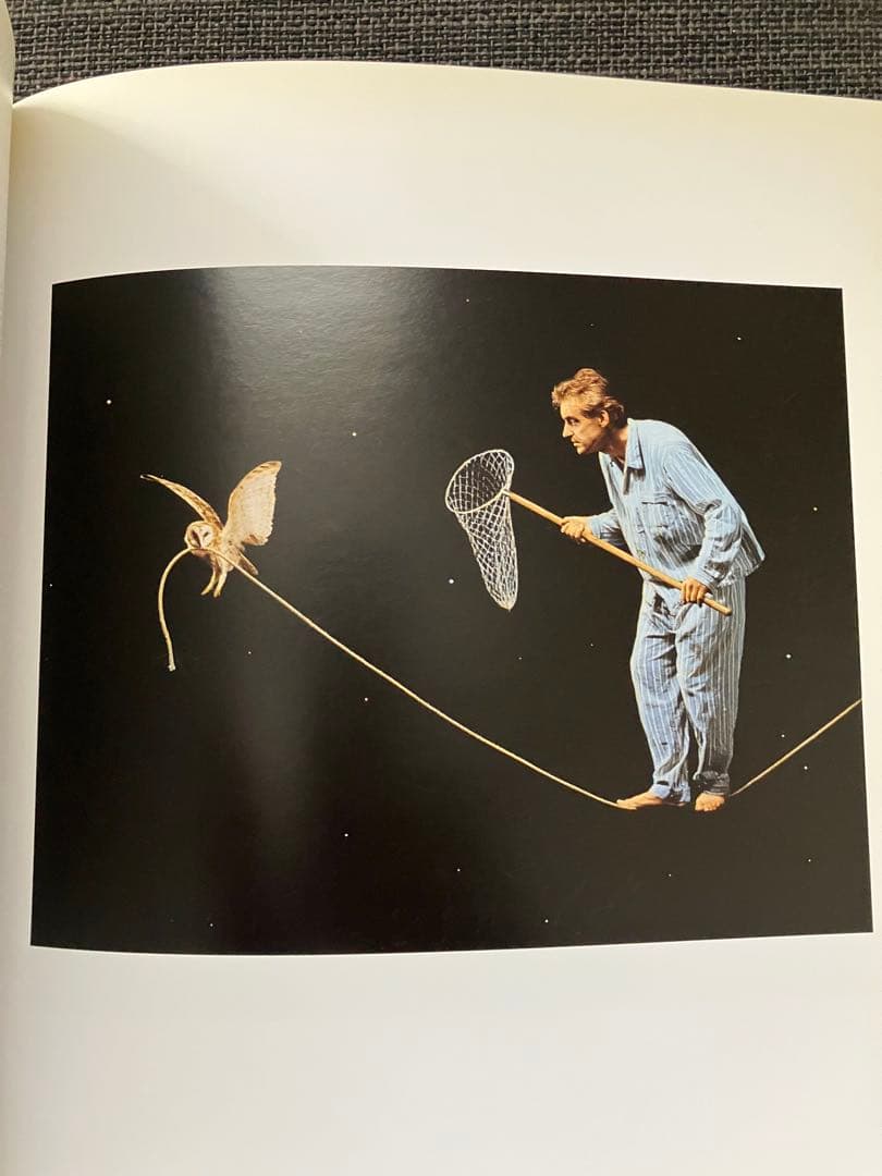 TEUN HOCKS 絵画集