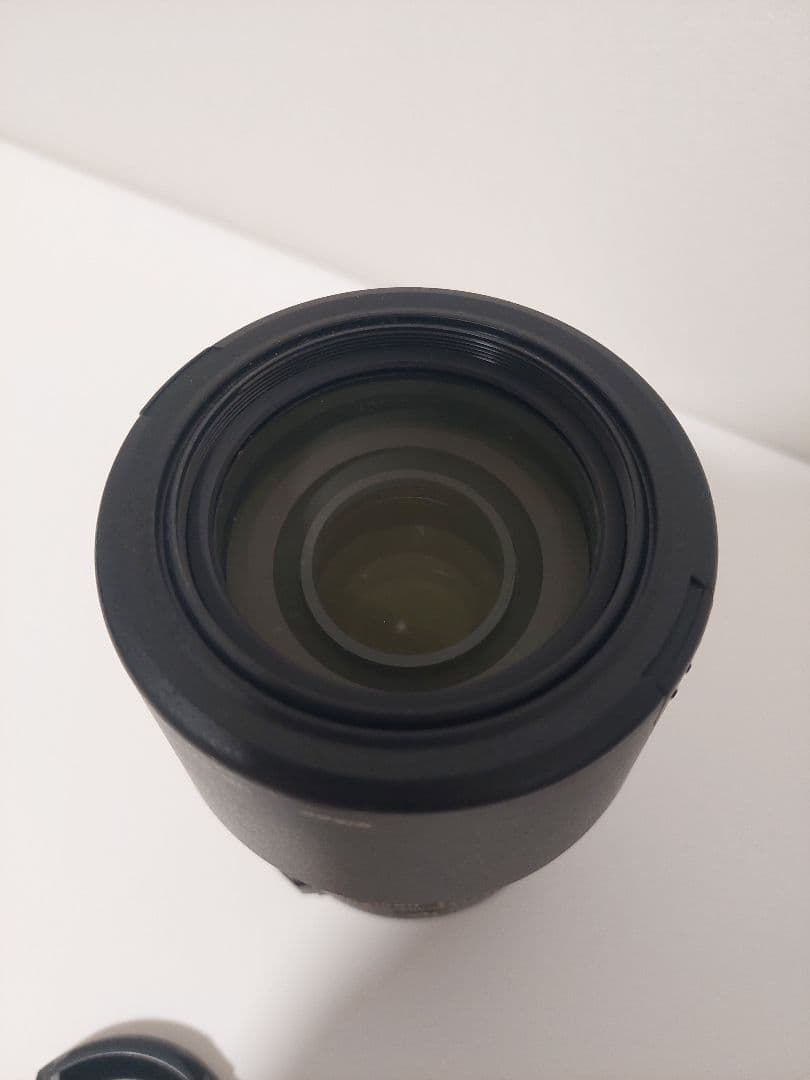 Nikon ニコン AF-S DX 55-300mm 4.5-5.6G VR