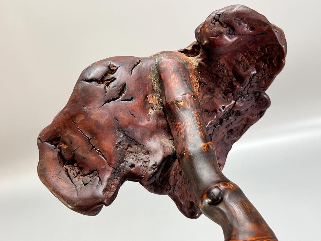 靈芝 竹雕搭天然樹瘤如意 長：47cm 古無垢材 天然木 根子彫 手彫り 置物