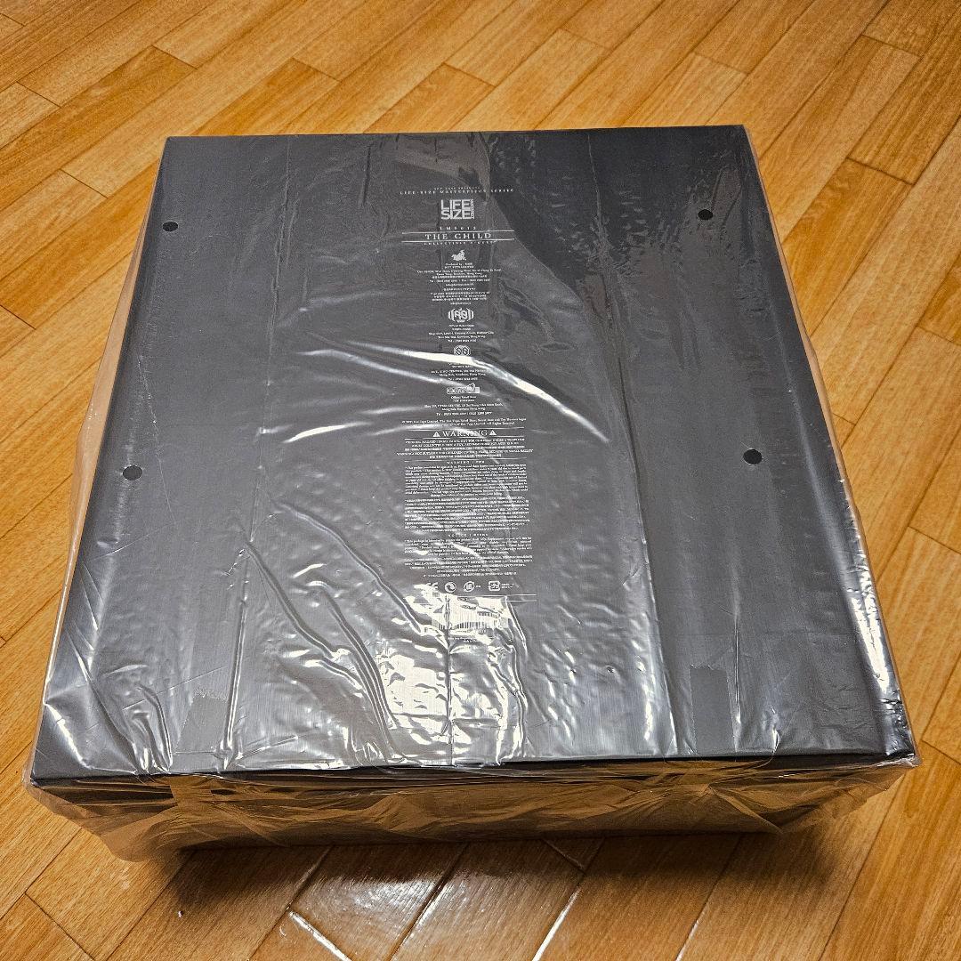 ホットトイズ ザ・チャイルド