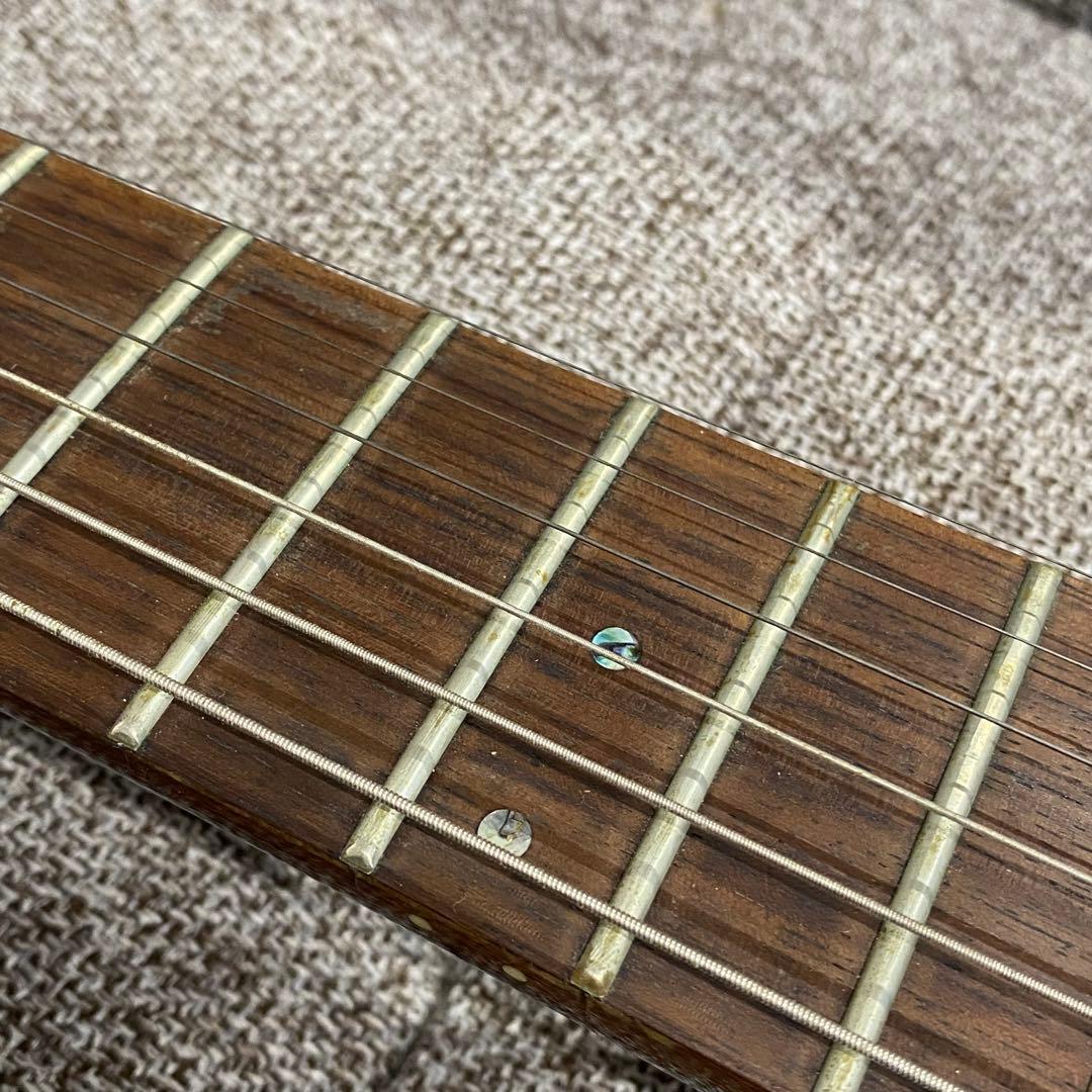 □ Grassroots グラスルーツ エレキギター Forest Duncan