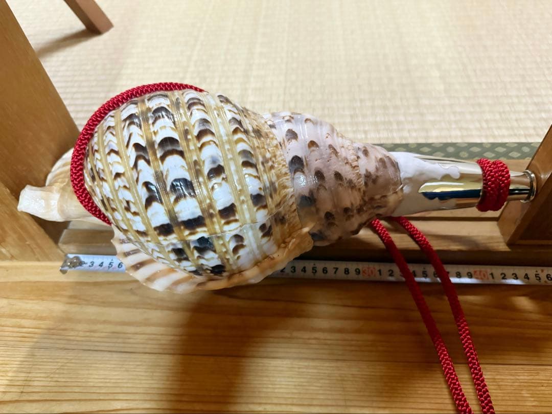 特大42㎝修験道法螺貝　山伏　密教　魔除け　熊よけ❣️ホラガイ　ほら貝　赤紐付き