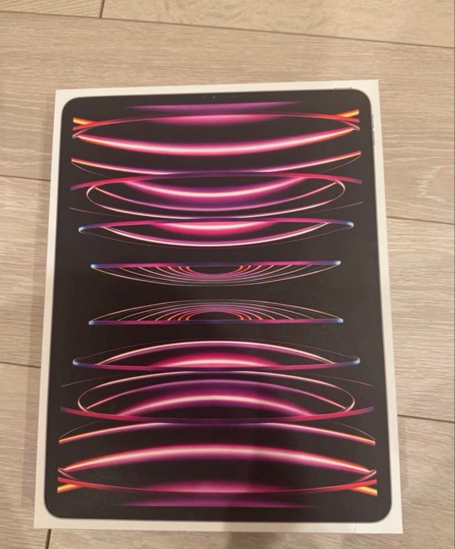 iPad Pro 第6世代　12.9インチ　256GB