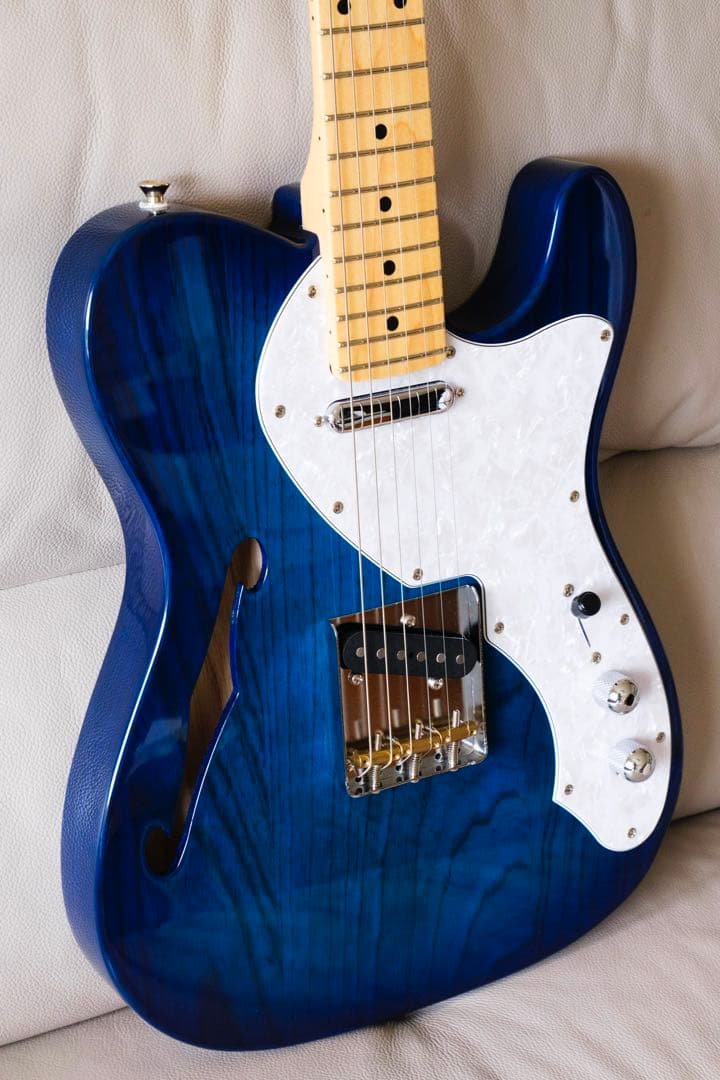 ギター FGN FUJIGEN NTE10MAH SBB Neo Classic