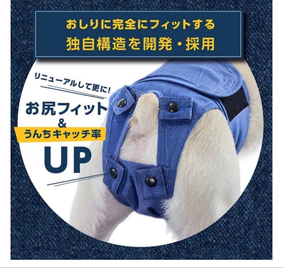 うんコロキャッチ XSサイズ3枚セット