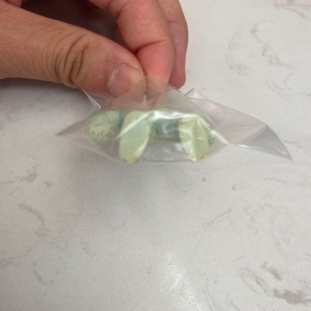 キン肉マン　キン消し　マリポーサ　プロトタイプ　緑