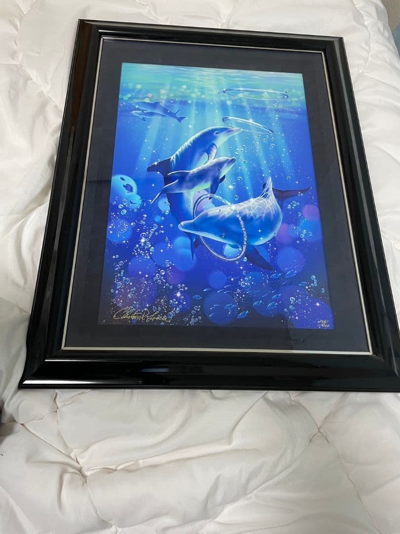 クリスチャンラッセン(ドルフィンシンフォニー(S))