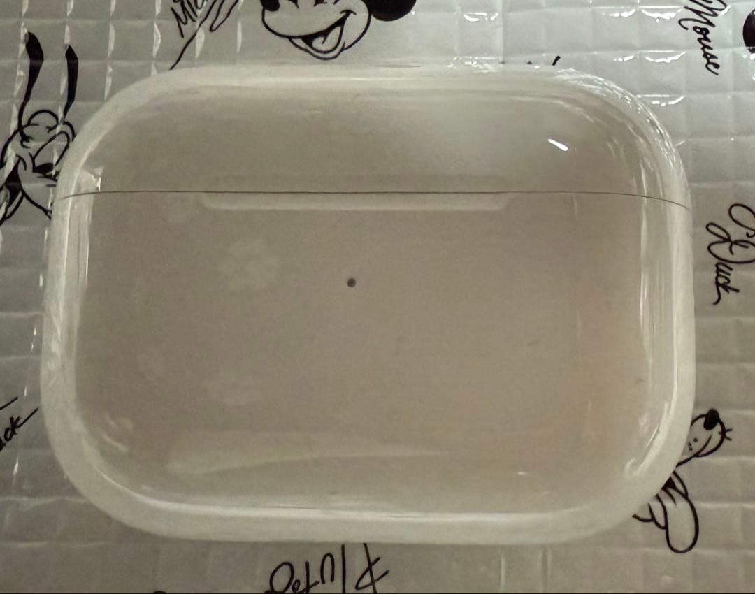 AirPods Pro 2本体 & ケース付き(カラビナcoach)