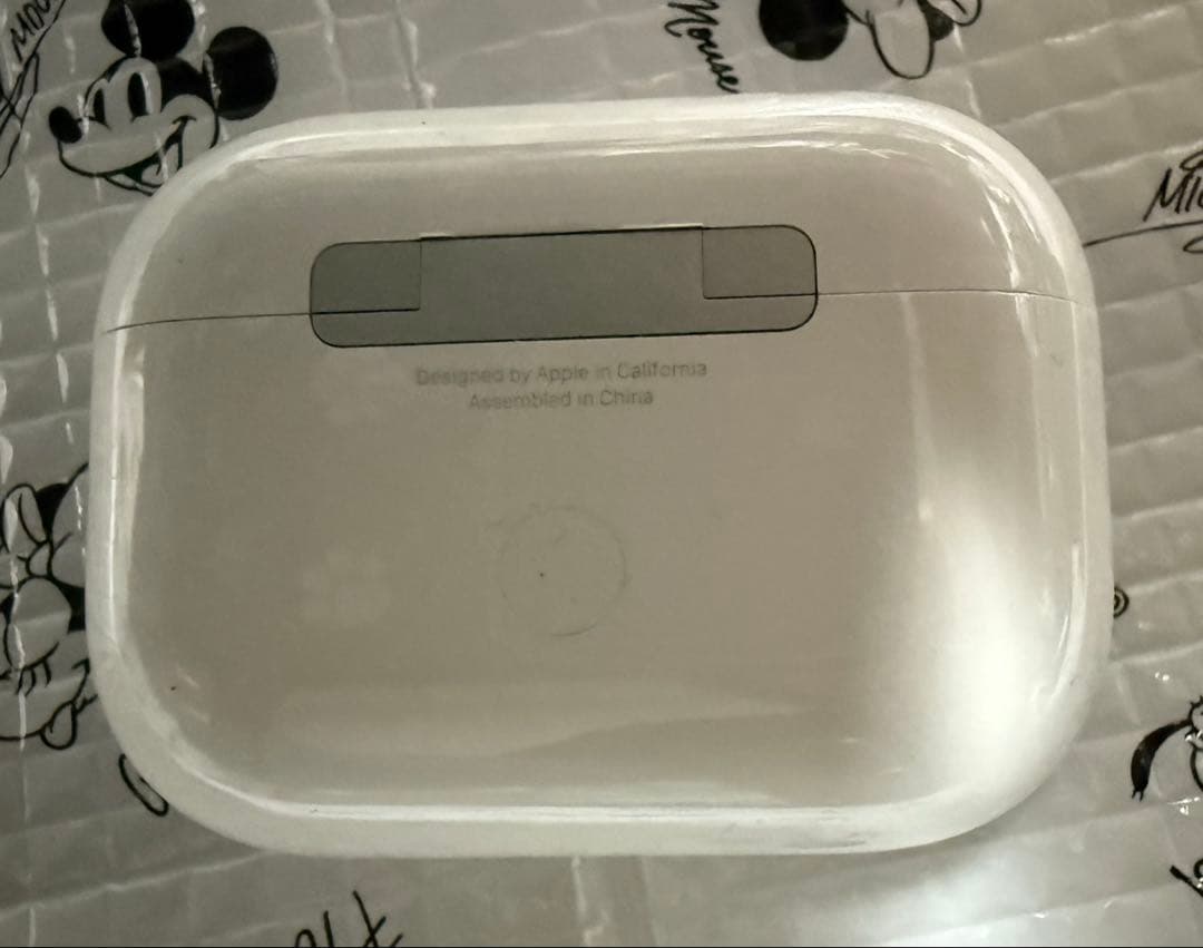 AirPods Pro 2本体 & ケース付き(カラビナcoach)