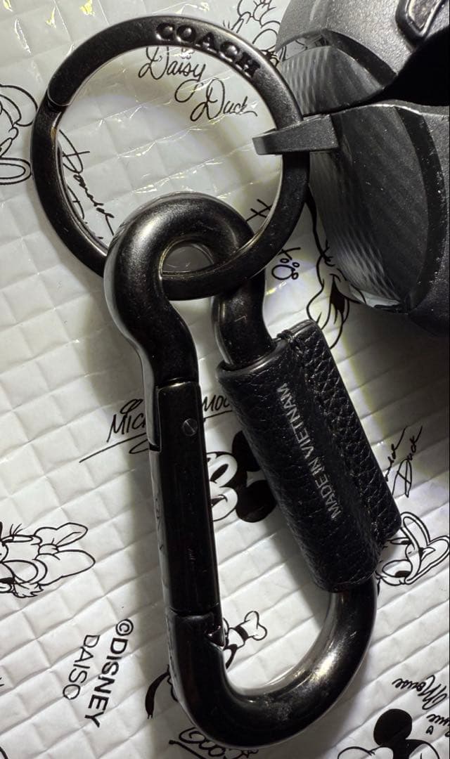 AirPods Pro 2本体 & ケース付き(カラビナcoach)