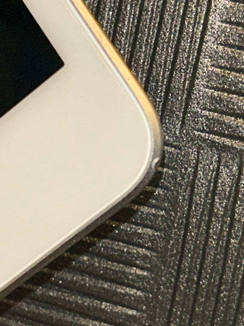 iPad mini 第5世代 [純正箱・付属品完備] ホワイトスポットあり