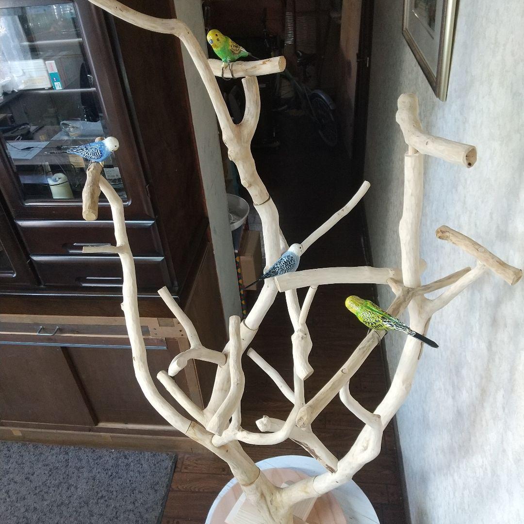 インコバードアスレチック楽園シリーズ④キャスター付