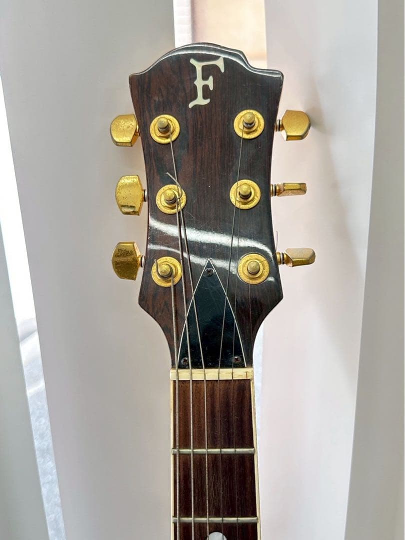 FRNANDES フェルナンデス エレキギターMG-80X