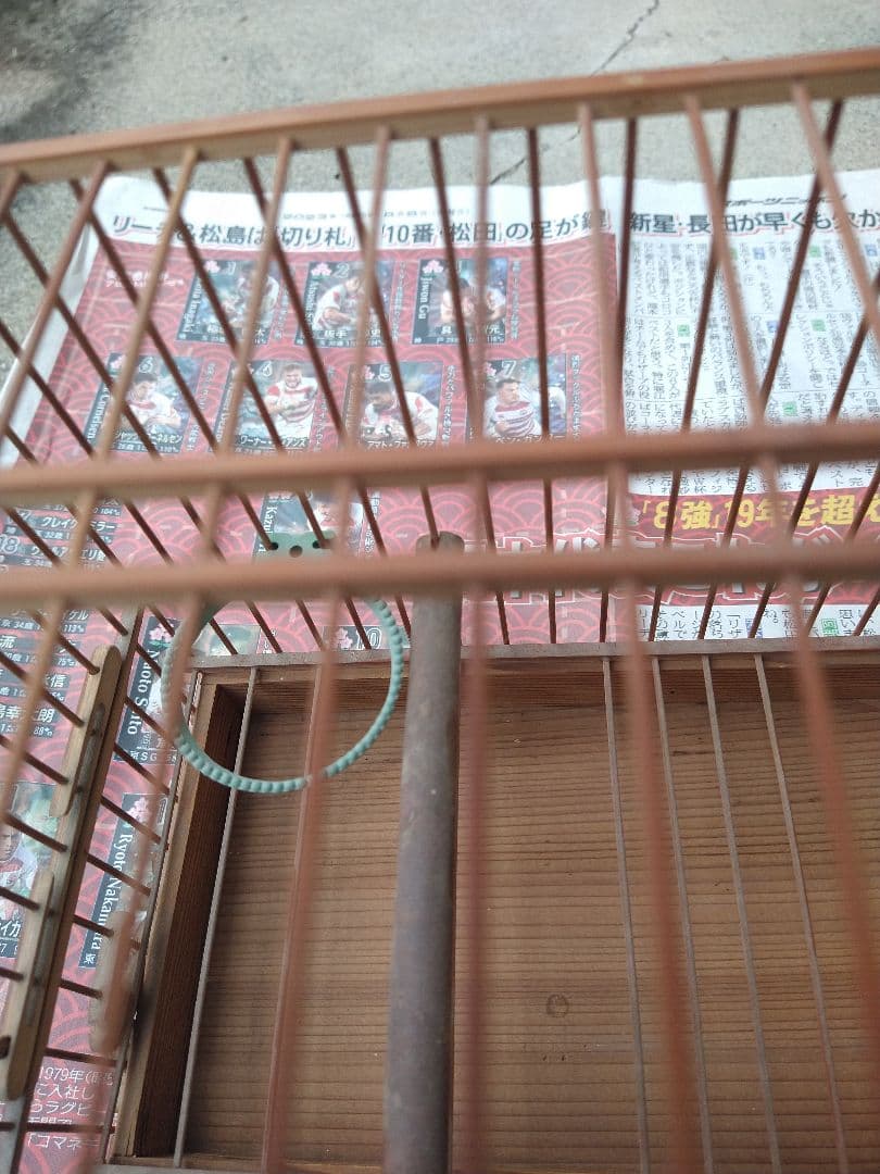 １００年竹製　メジロ籠