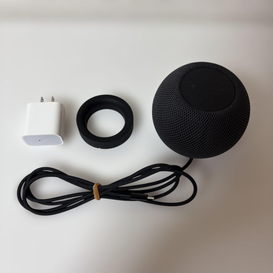 ⭐️Apple Pod mini スペースグレイ⭐️