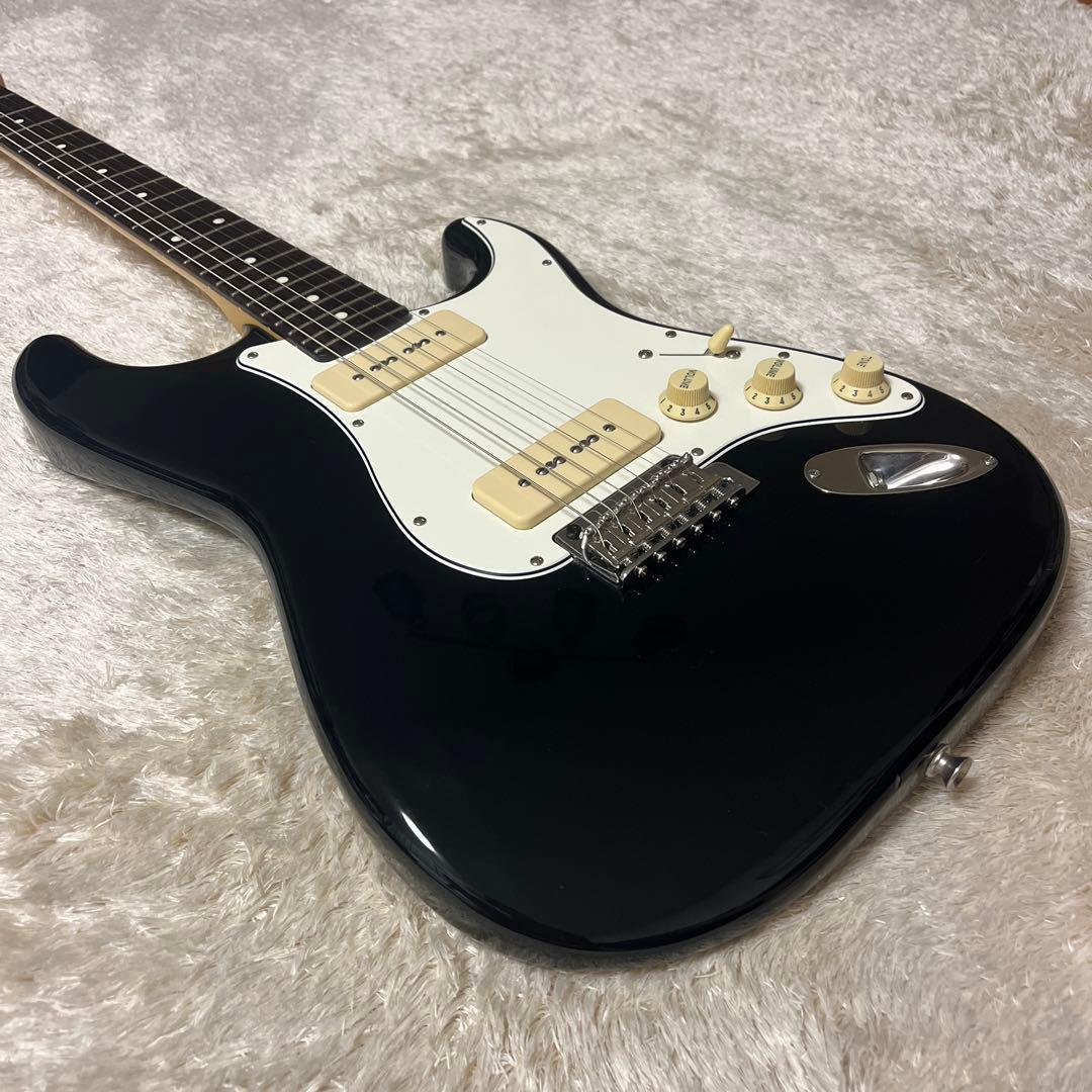 ギター FUJIGEN NST12RAL -Black-