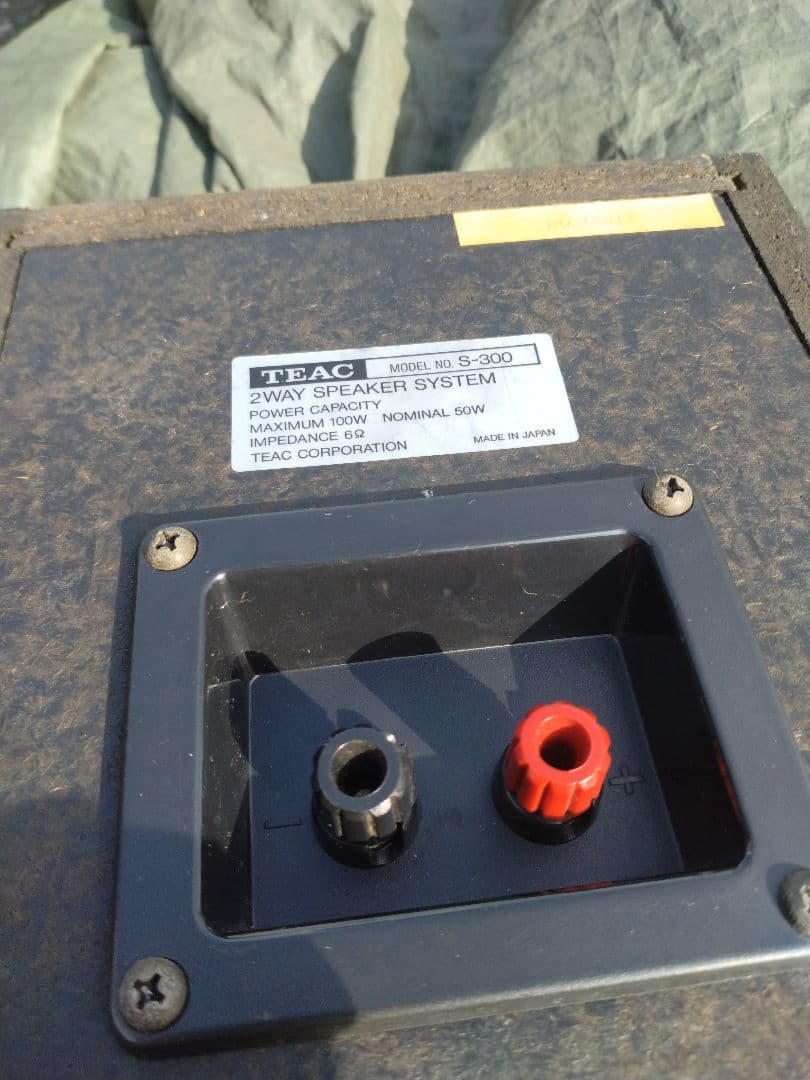 TEAC S-300 2WAY コンパクトスピーカー　ティアック